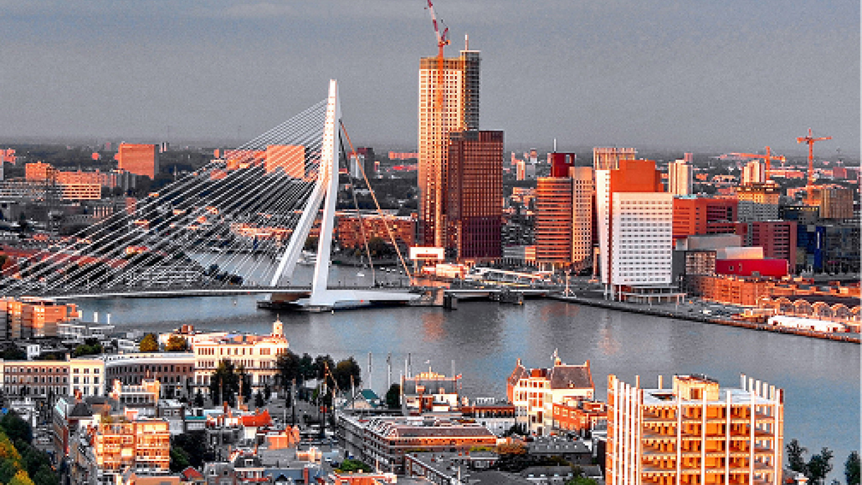 rotterdam